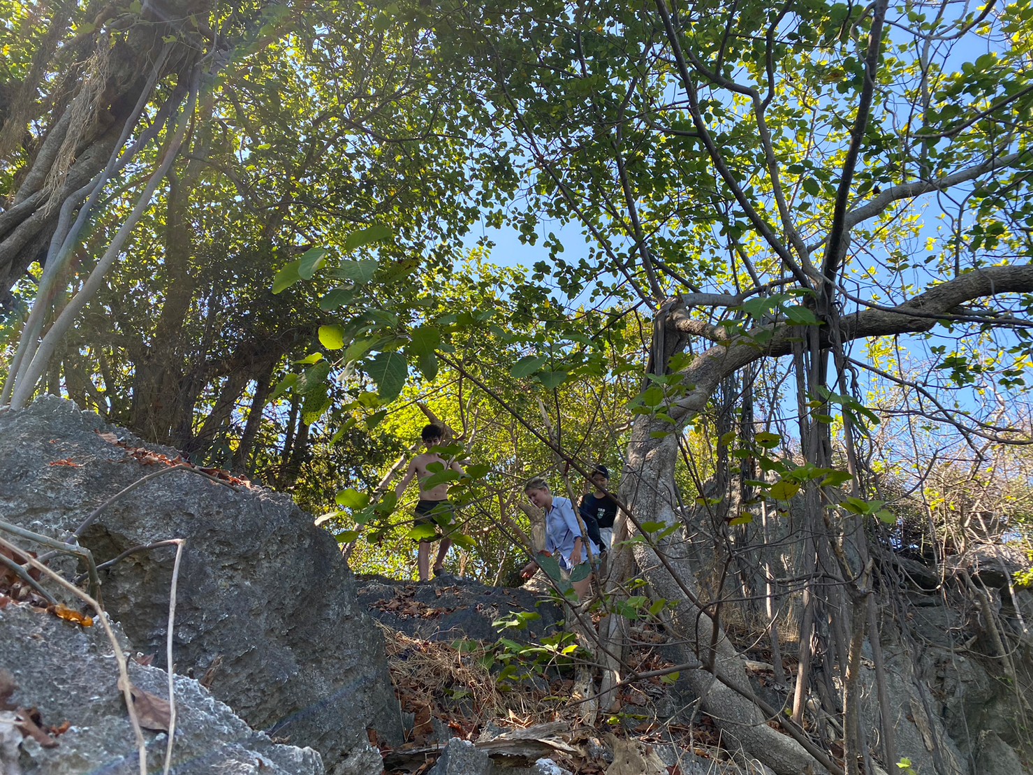 【タイ-ホアヒン】環境保護プログラム