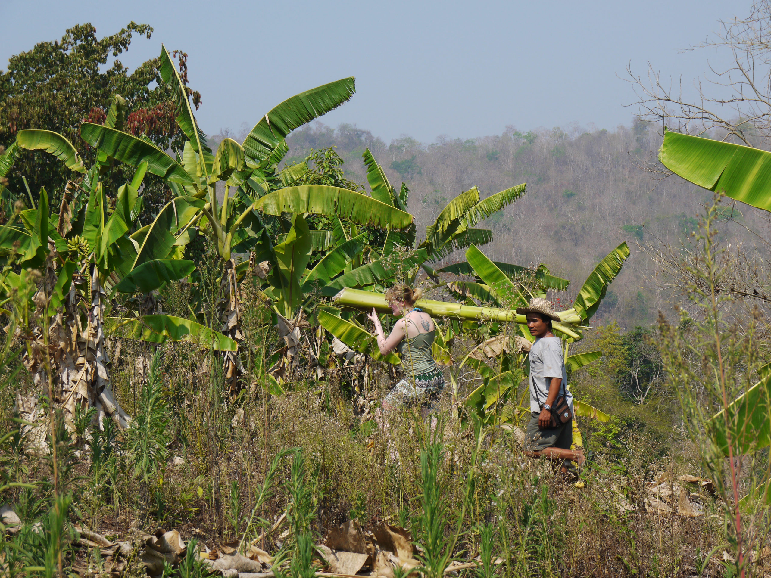 【タイ-チェンマイ】チェンマイの冒険スケジュール画像